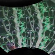 Realtime Fluids With Obstacles OpenCL