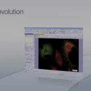 Olympus CellSens 3D Deconvolution