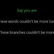 The Callous Daoboys BlackBerry Delorean Karaoke Instrumental