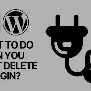 What To Do When You Can T Delete A WordPress Plugin