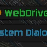 Selenium Webdriver System Dialogs