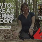 How To Make A Natural Hoverfly Lagoon