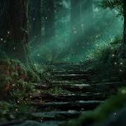 Magical Woodland Forest With Chill Lofi Music