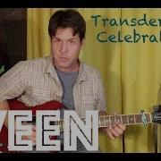 Guitar Lesson How To Play Transdermal Celebration By Ween