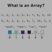 Intro To Java Primitive Arrays