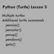 Python Turtle Lesson 3
