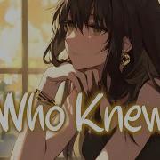 Nightcore Who Knew P Nk Lyrics
