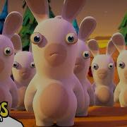 Where Are The Rabbids RABBIDS INVASION 1H New Compilation Cartoon For Kids