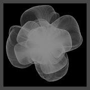 Z Y Curve Processing