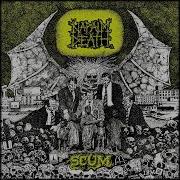 Napalm Death Scum Full Album