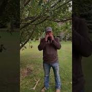 Moose Calling Tutorial
