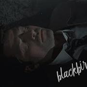 Castiel Blackbird Fly 12x23