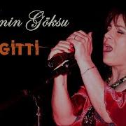 Yasemin Göksu Aldı Gitti