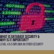 What Is Database Security And Why Is It Important