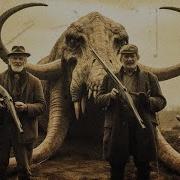 50 Biggest Creatures Ever Caught On Camera