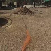 Leaf Explosion