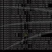 Hack Firefox Metasploit Flv