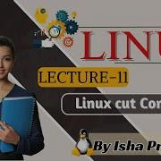 Linux Lecture 11 Linux Cut Command How To Use Linux Cut Command Hindi By Isha Pratihast