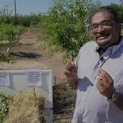 Rainfall Simulator A Soil Health Demonstration