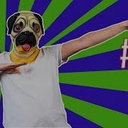 How To Quickly Make Your Code Open Source Meet Pug 05