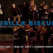 Gorilla Biscuits NEW DIRECTION Garden Amp 3 29 2019 LIVE