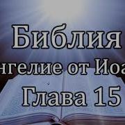 Библия Евангелие от Иоанна Глава 15