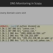 25 DNS Monitoring