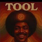 Stinkfist TOOL 70 S Soul Funk Cover