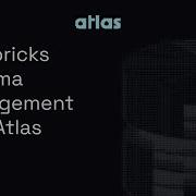 Databricks Schema Management With Atlas