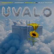 Thukuthela Jazzworx Babalwa M Uvalo Official Audio Feat Dlala Thukzin