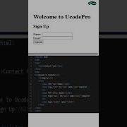 HTML Form Properties Building Interactive Web Forms