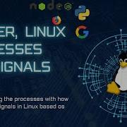 Linux Processes And Signals Explained In Kinyarwanda SIGKILL SIGTERM Kill Pkill Pgrep