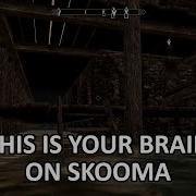 Skyrim Wujeeta Has Permanent Brain Damage After Years Of Skooma Abuse