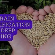 AE092 Rice Grain Classification Using Deep Learning