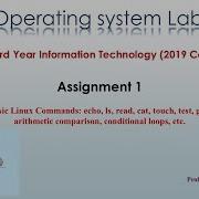 OSL Practical 1A Basic Linux Commands Echo Ls Read Cat Touch Test Grep Sed Etc