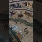Giant Anaconda Snake In Mall Video 3 Snake Shorts Vfx