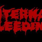 Internal Bleeding Live In Los Angeles 2022 Full Concert
