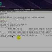 Configuring Multiple Simulators For DevTest Solutions 10 0