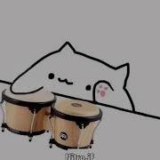 Bongo Cat A True Slav