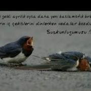 Geri Dön Gülüm