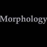 The Quickest And The Easiest Guide To Morphology What Is Morphology What Is A Morpheme