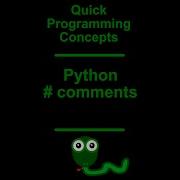Python Programming Comments