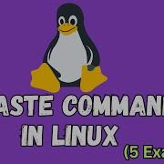 Paste Command In Linux With 5 Examples Ubuntu Command Line Tutorial