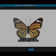 IMAGE PROCESSING ONRAMP Introduction