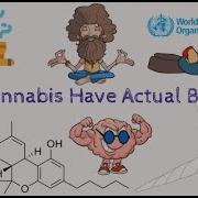 What Is The Difference Between Marijuana And Hash
