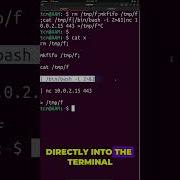 Mkfifo Reverse Shell Explained