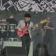 Madness One Step Beyond Cruel World 2025