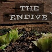 The Endive