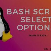 Bash Script Select Options