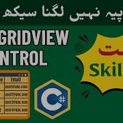 How To Design Datagridview C Datagridview In C Windows Form Application